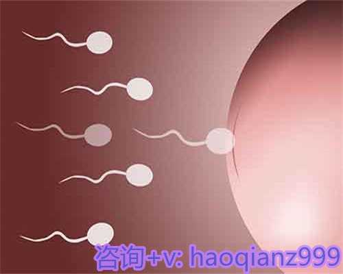 天津有几家医院供卵，天津私立有供卵试管机构